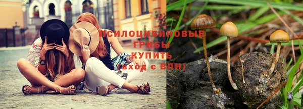 каннабис Алексеевка
