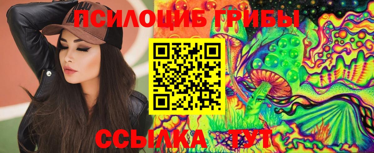 Тайшет  Галлюциногенные грибы мухоморы  Вход с VPN  Псилоцибиновые грибы мицелий 
