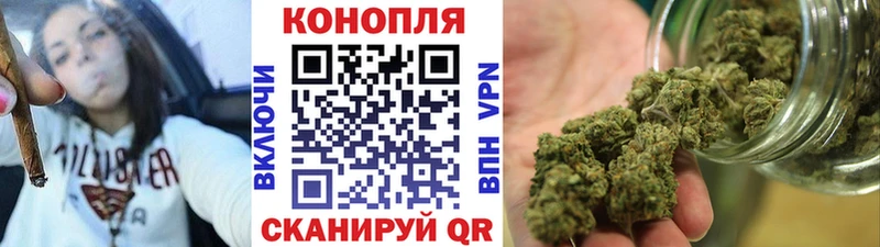 купить наркотик  Тайшет  мега как войти  Бошки марихуана SATIVA & INDICA 